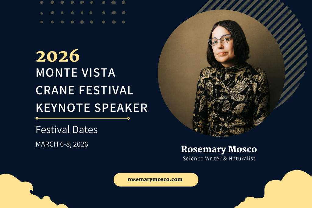 2026 MVCF keynote speaker Rosemary Mosco
